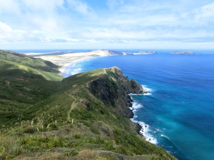 whangarei (40)